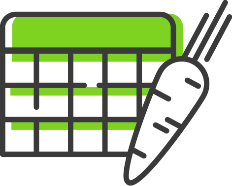 Healthy balanced meal